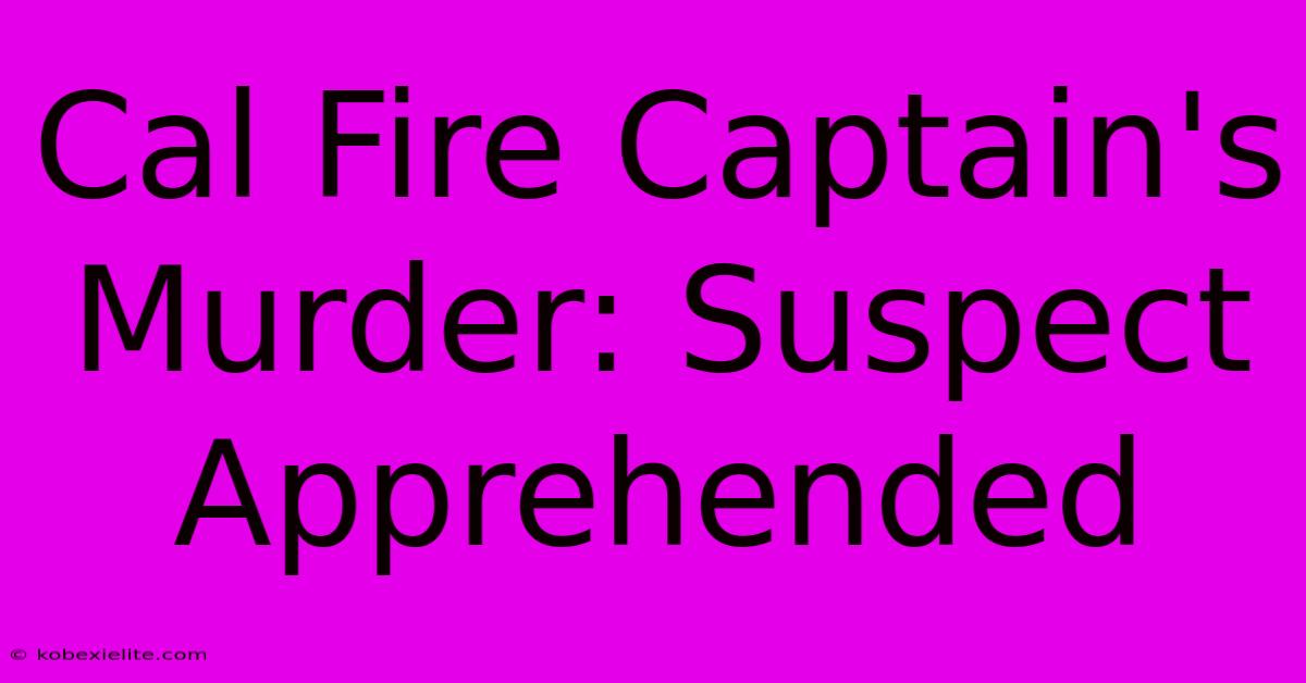 Cal Fire Captain's Murder: Suspect Apprehended Cal Fire Captain's Murder: Suspect Apprehended