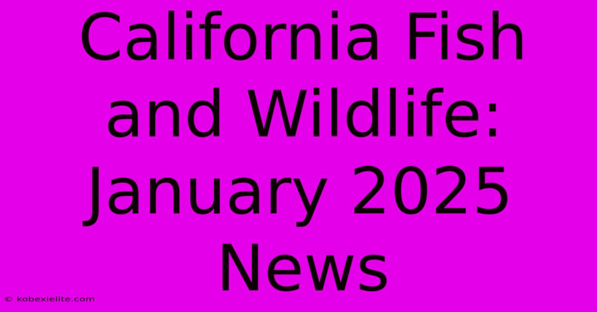 California Fish And Wildlife: January 2025 News