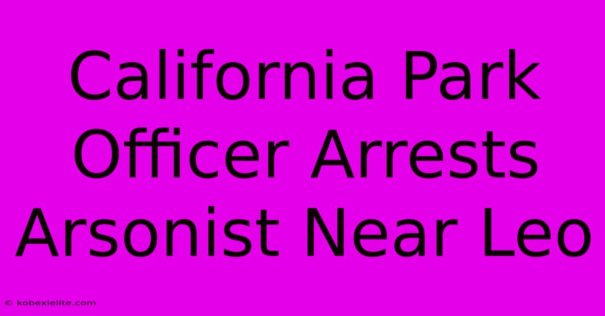 California Park Officer Arrests Arsonist Near Leo