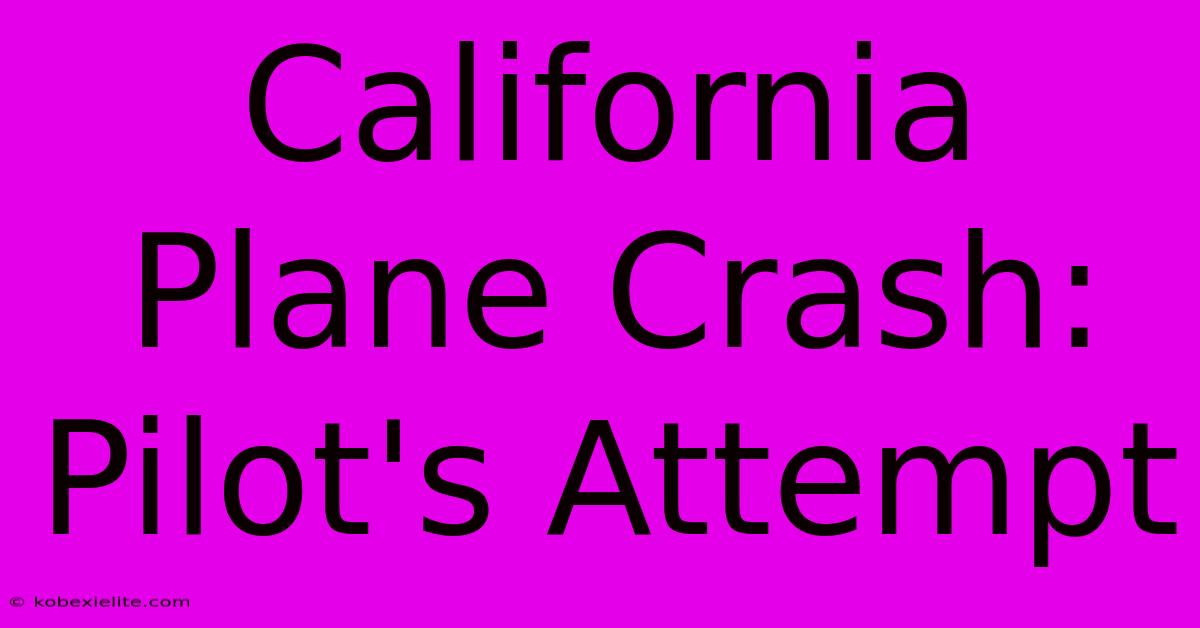 California Plane Crash: Pilot's Attempt