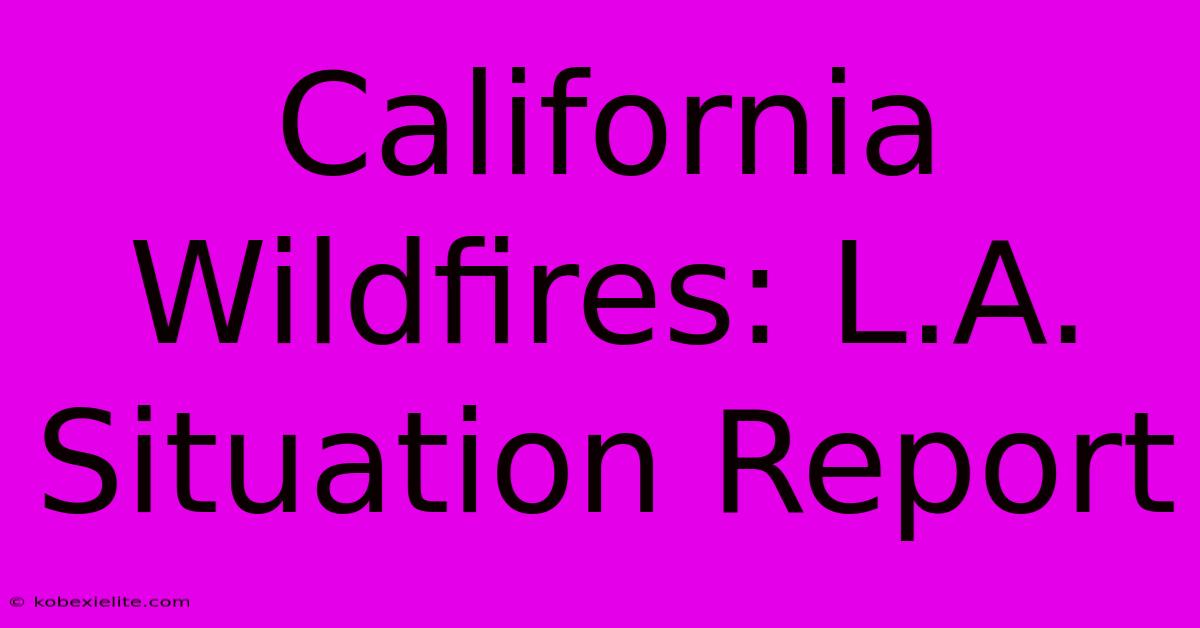 California Wildfires: L.A. Situation Report