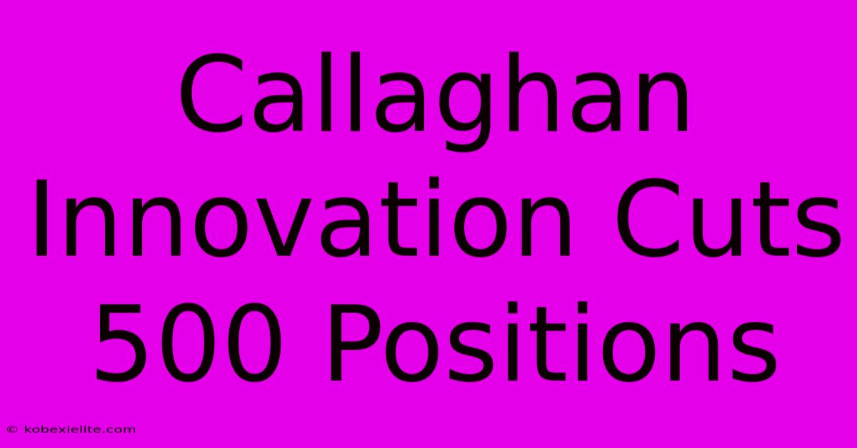 Callaghan Innovation Cuts 500 Positions