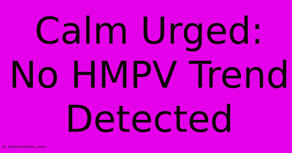 Calm Urged: No HMPV Trend Detected