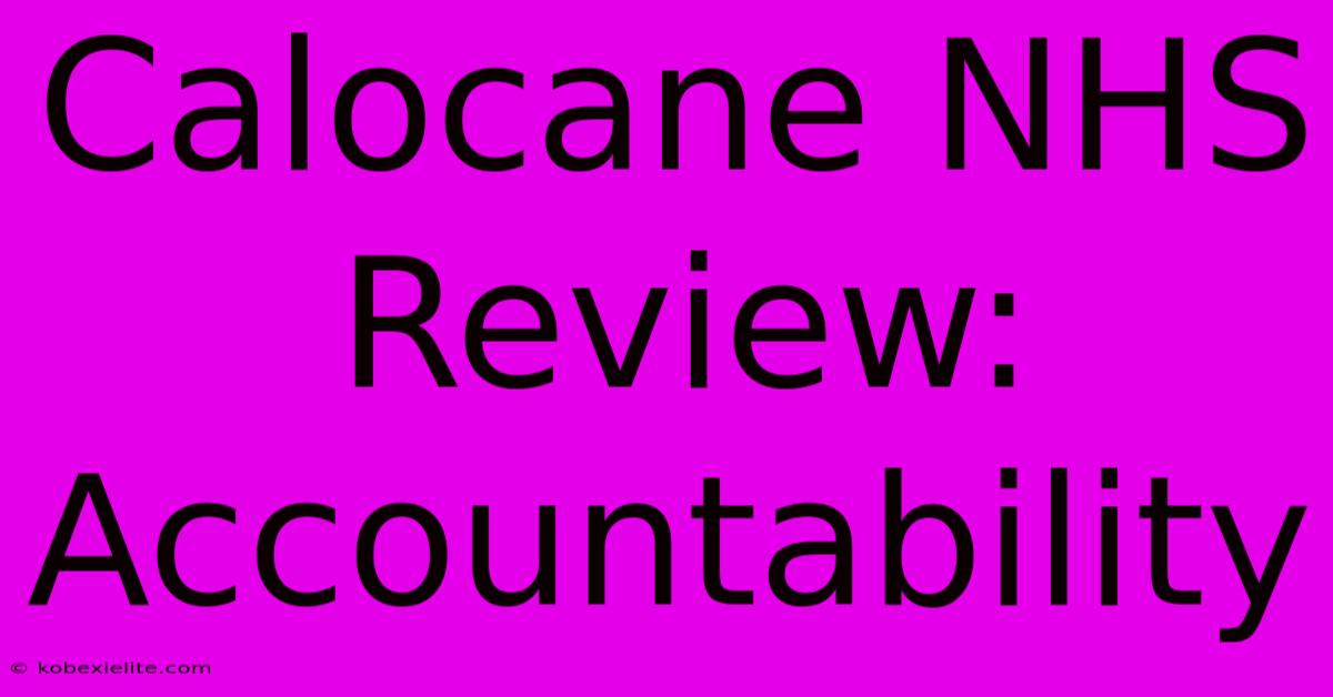 Calocane NHS Review: Accountability