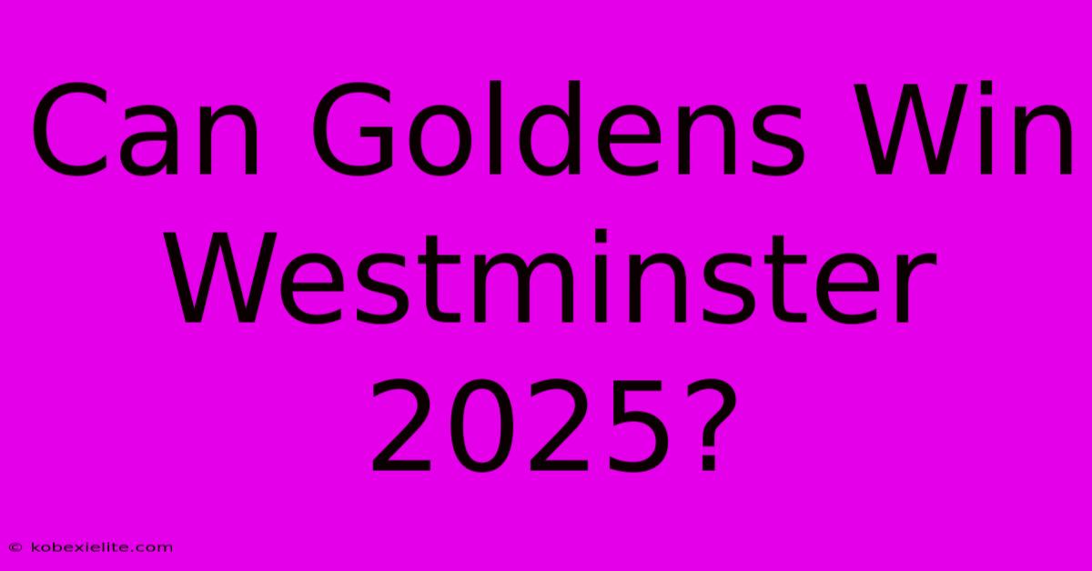 Can Goldens Win Westminster 2025?