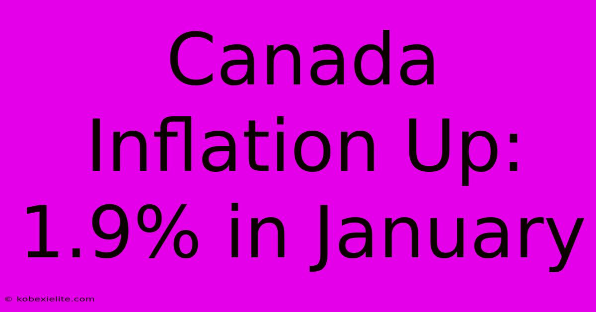 Canada Inflation Up: 1.9% In January