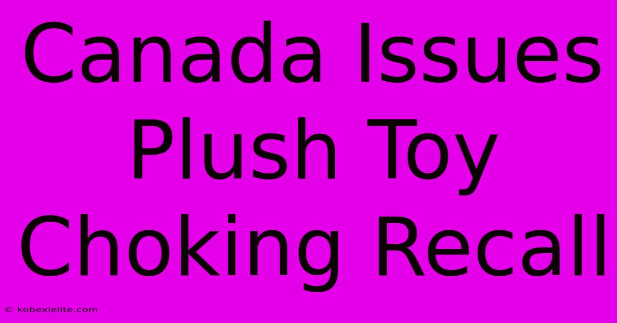 Canada Issues Plush Toy Choking Recall