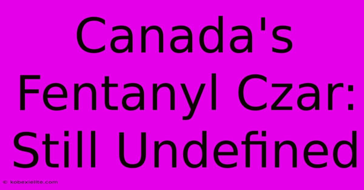 Canada's Fentanyl Czar: Still Undefined