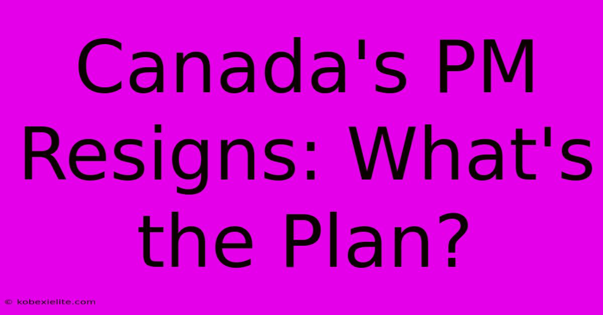 Canada's PM Resigns: What's The Plan?