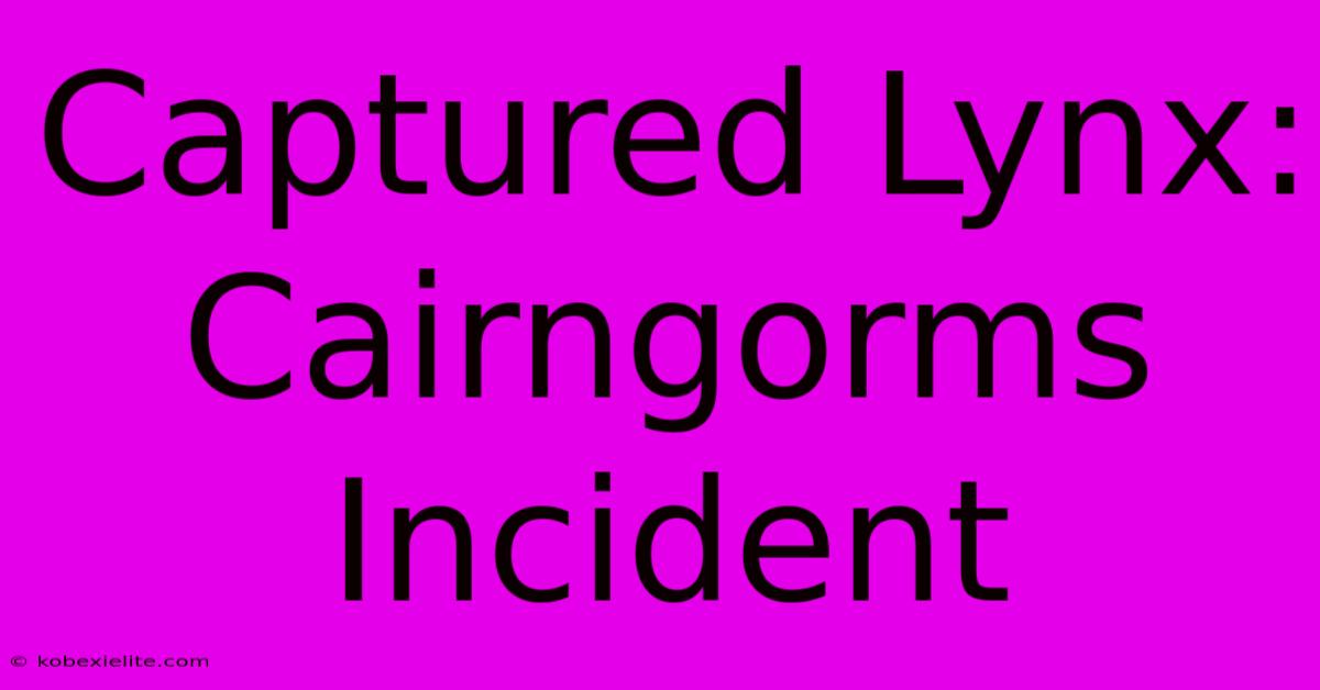 Captured Lynx: Cairngorms Incident