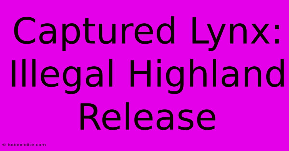 Captured Lynx: Illegal Highland Release