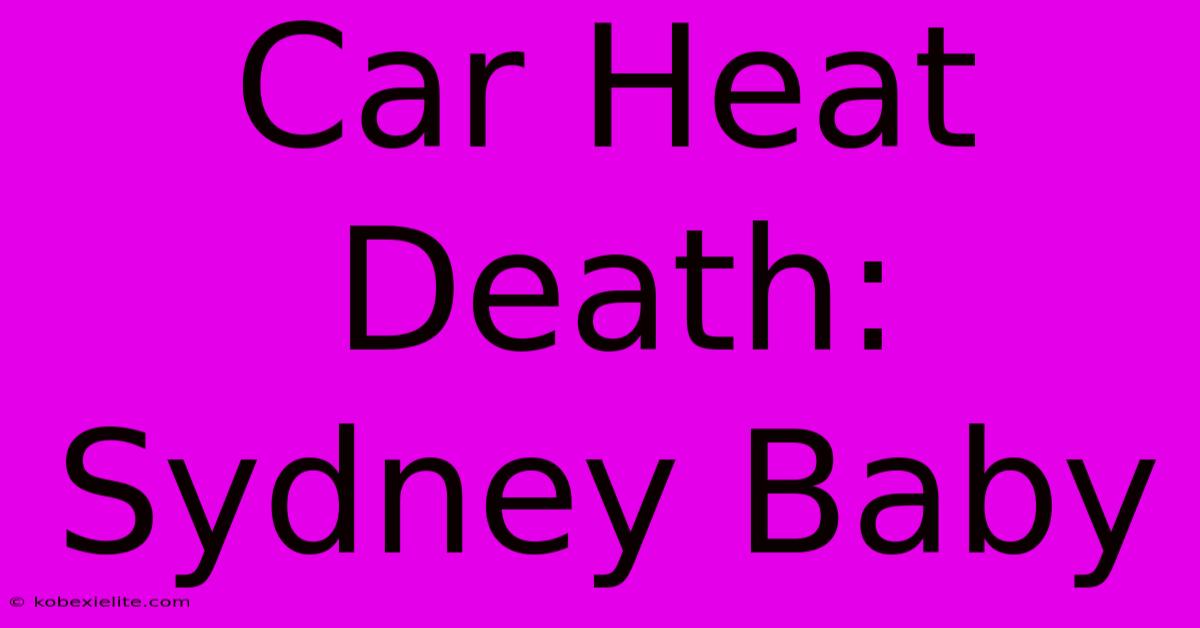 Car Heat Death: Sydney Baby