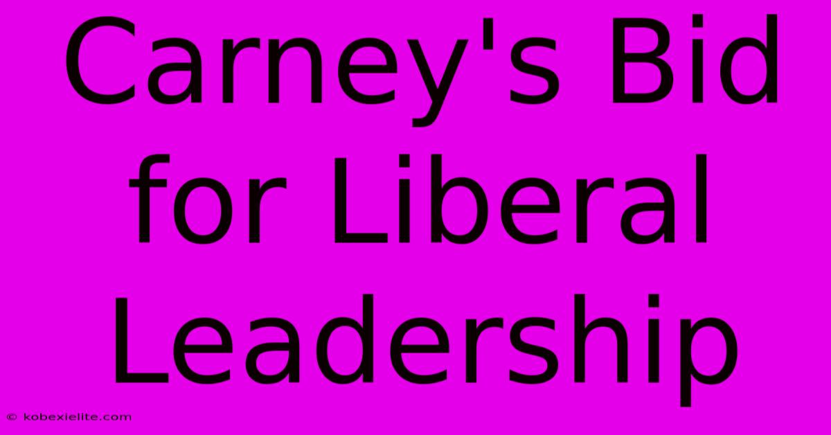 Carney's Bid For Liberal Leadership