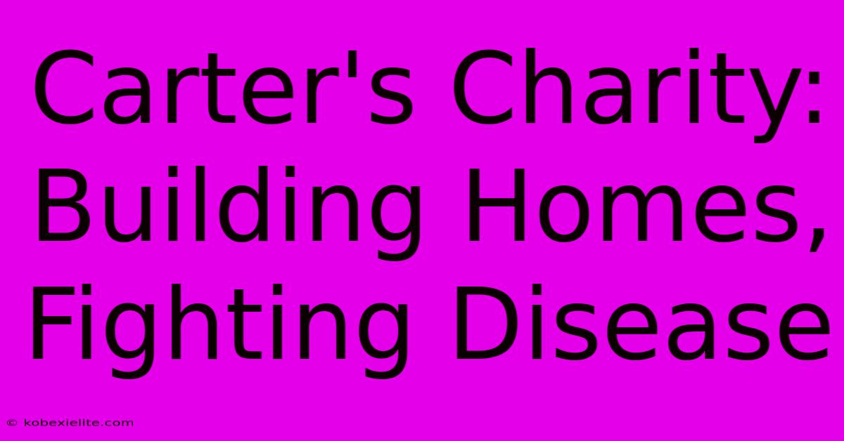 Carter's Charity: Building Homes, Fighting Disease