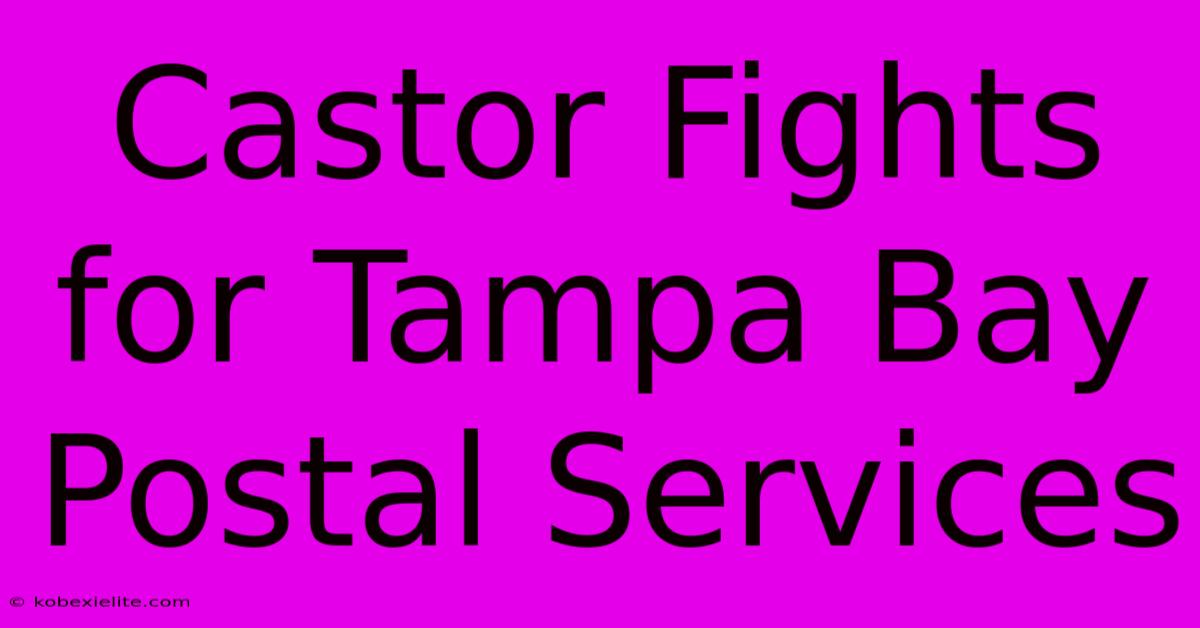 Castor Fights For Tampa Bay Postal Services