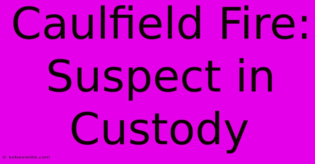 Caulfield Fire: Suspect In Custody