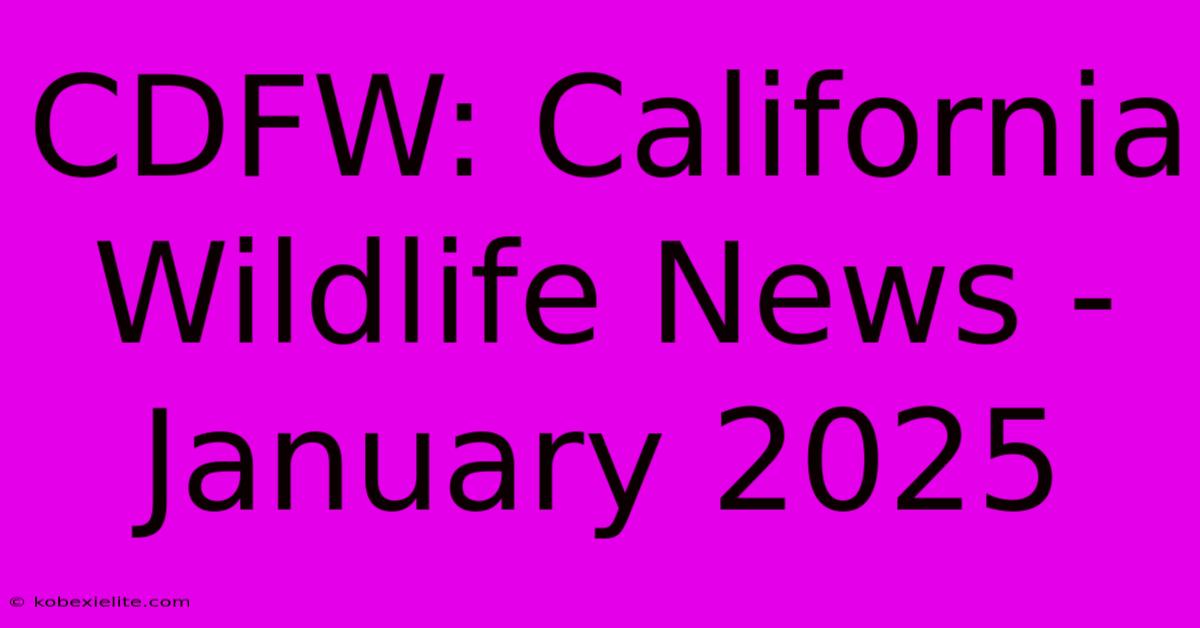 CDFW: California Wildlife News - January 2025