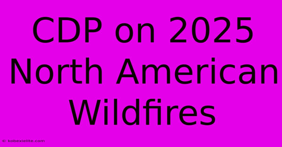 CDP On 2025 North American Wildfires