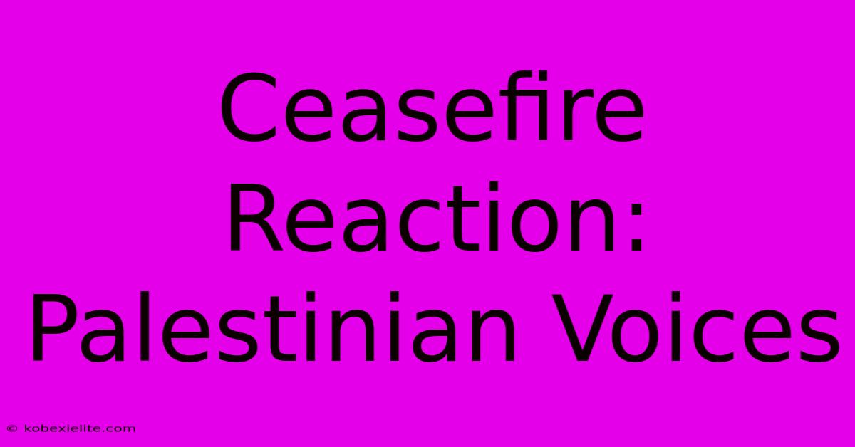 Ceasefire Reaction: Palestinian Voices