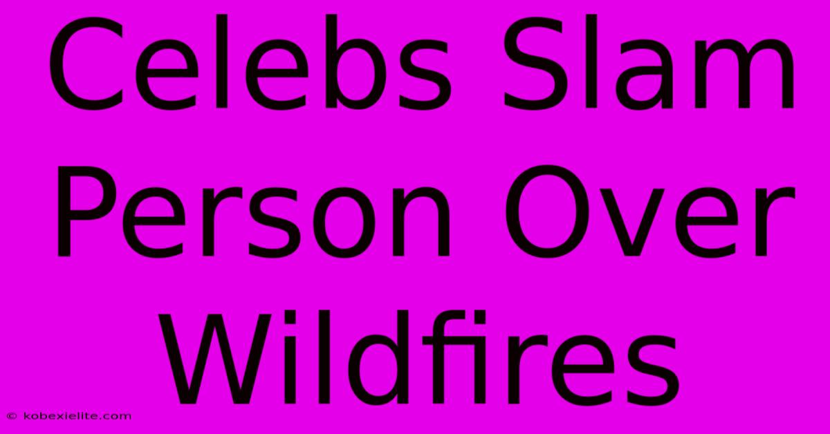 Celebs Slam Person Over Wildfires