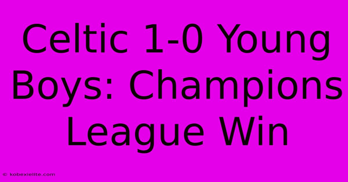 Celtic 1-0 Young Boys: Champions League Win