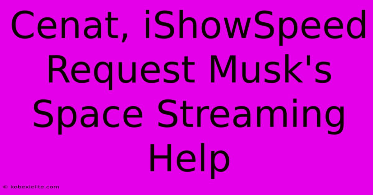 Cenat, IShowSpeed Request Musk's Space Streaming Help Cenat, IShowSpeed Request Musk's Space Streaming Help