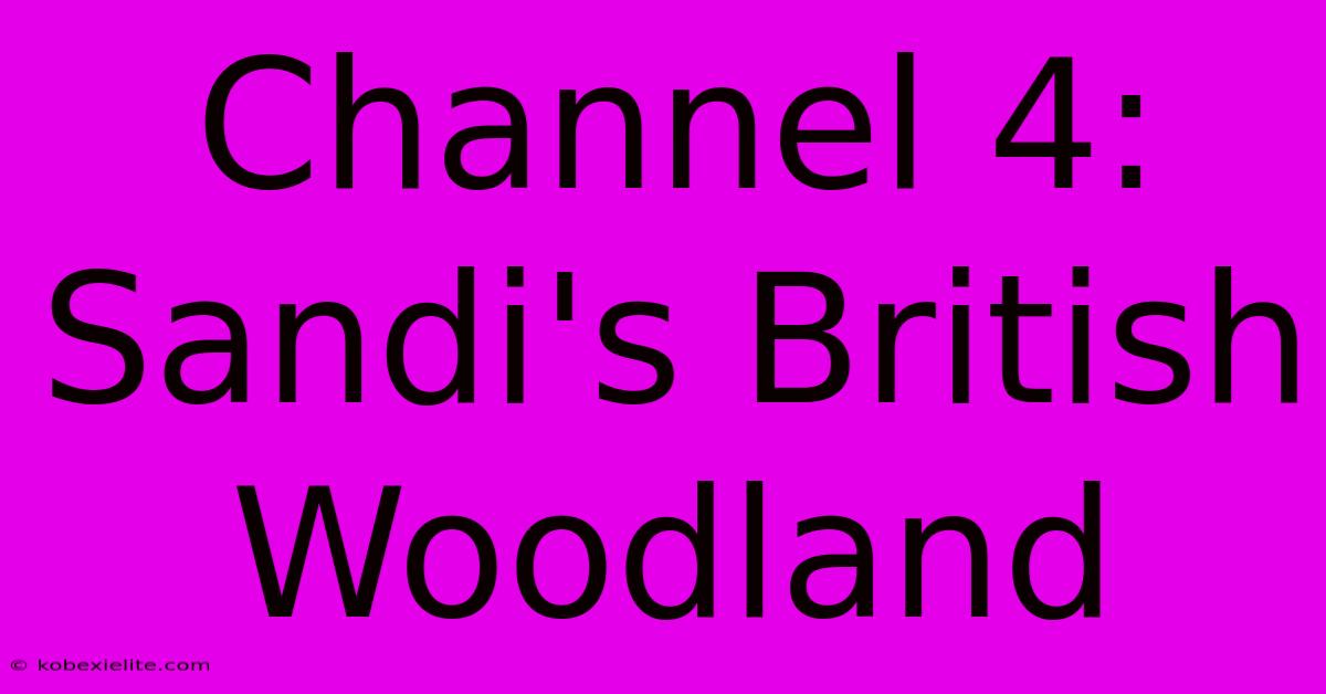 Channel 4: Sandi's British Woodland