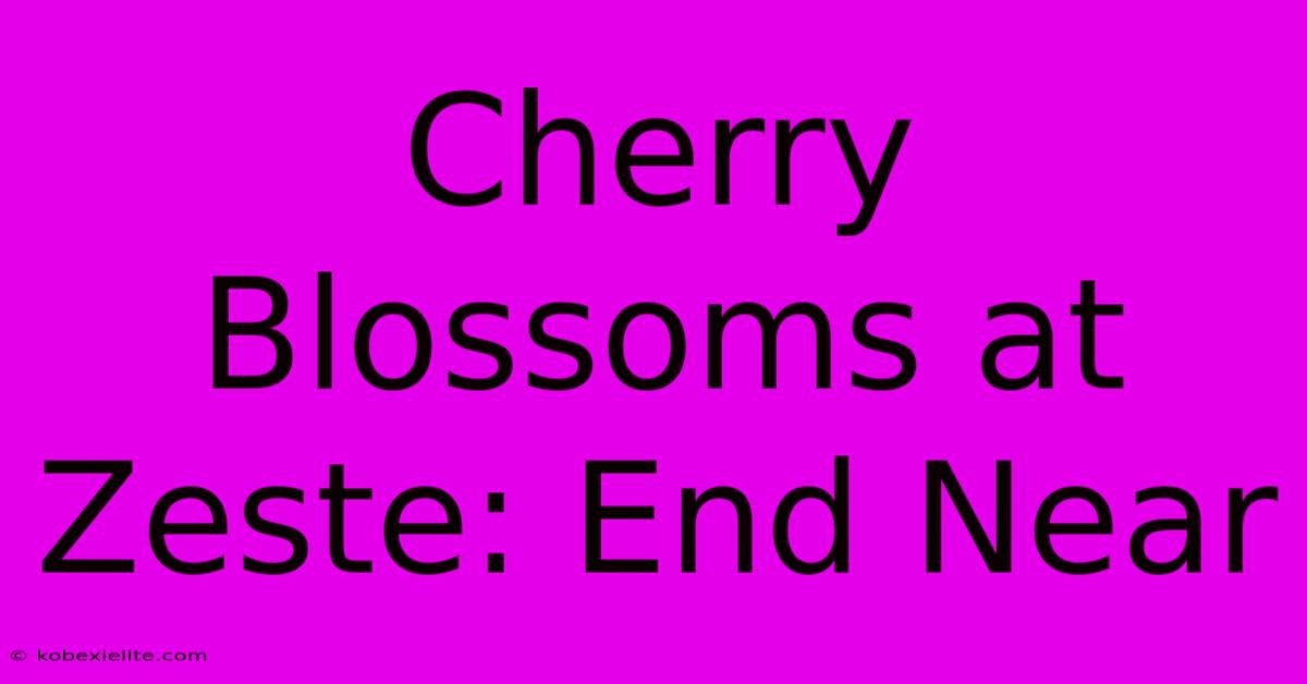 Cherry Blossoms At Zeste: End Near