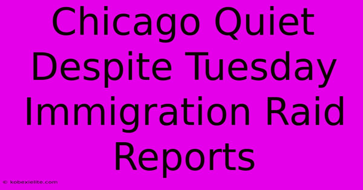 Chicago Quiet Despite Tuesday Immigration Raid Reports