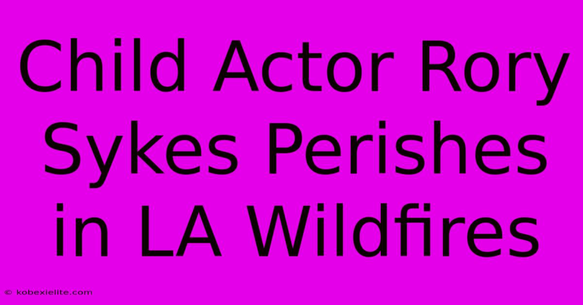 Child Actor Rory Sykes Perishes In LA Wildfires