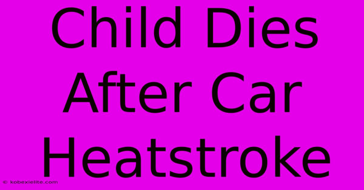 Child Dies After Car Heatstroke