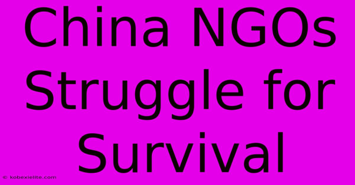 China NGOs Struggle For Survival