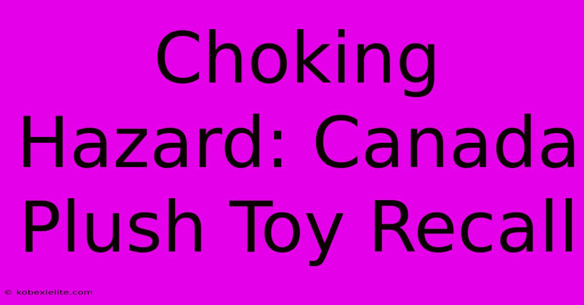 Choking Hazard: Canada Plush Toy Recall