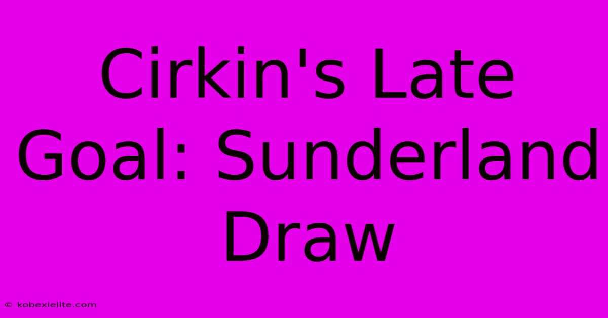 Cirkin's Late Goal: Sunderland Draw