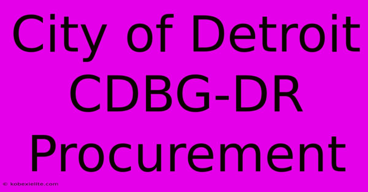 City Of Detroit CDBG-DR Procurement