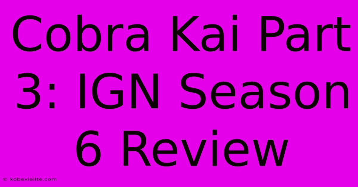 Cobra Kai Part 3: IGN Season 6 Review