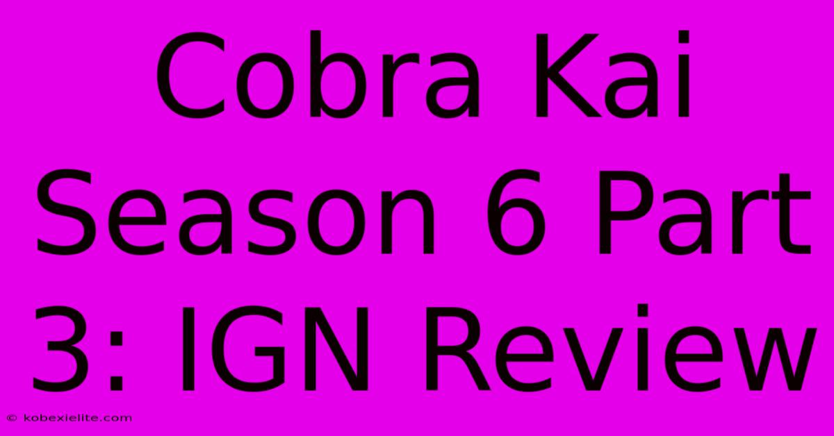 Cobra Kai Season 6 Part 3: IGN Review