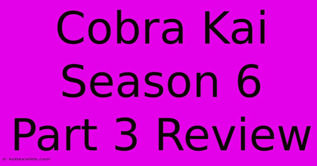 Cobra Kai Season 6 Part 3 Review