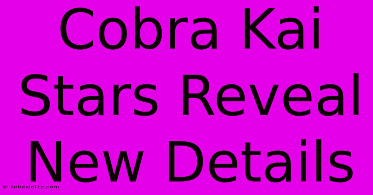 Cobra Kai Stars Reveal New Details