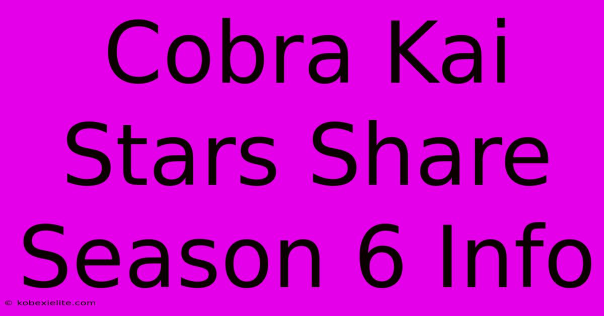 Cobra Kai Stars Share Season 6 Info