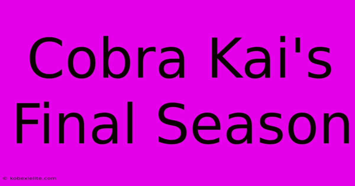 Cobra Kai's Final Season