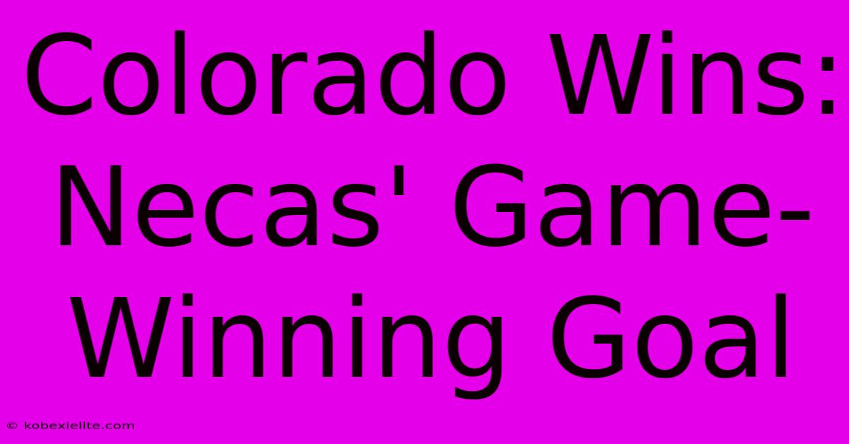 Colorado Wins: Necas' Game-Winning Goal