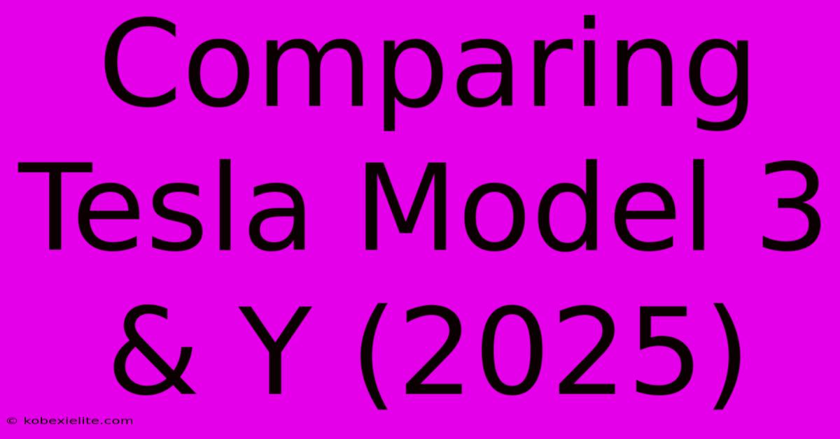 Comparing Tesla Model 3 & Y (2025)