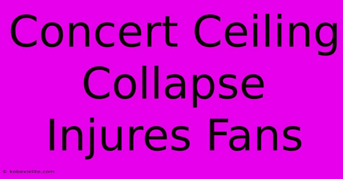 Concert Ceiling Collapse Injures Fans