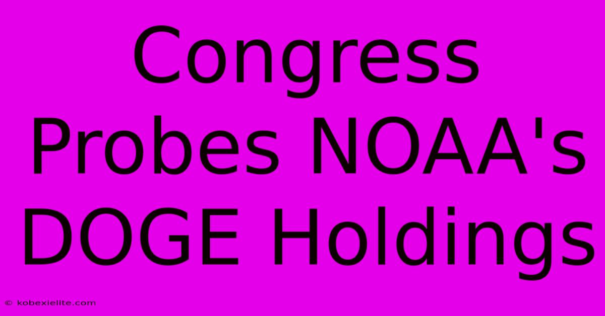 Congress Probes NOAA's DOGE Holdings