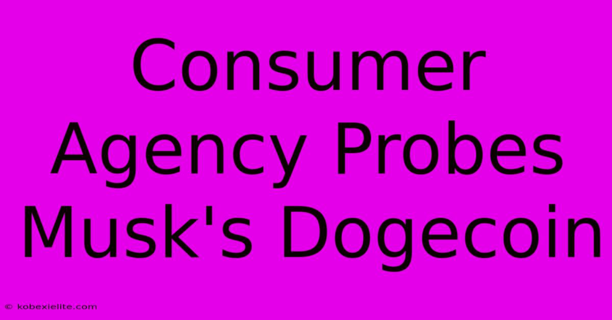 Consumer Agency Probes Musk's Dogecoin