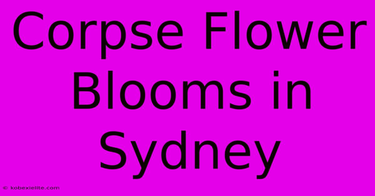 Corpse Flower Blooms In Sydney