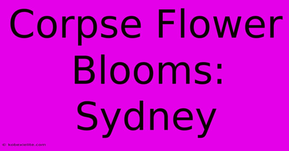 Corpse Flower Blooms: Sydney