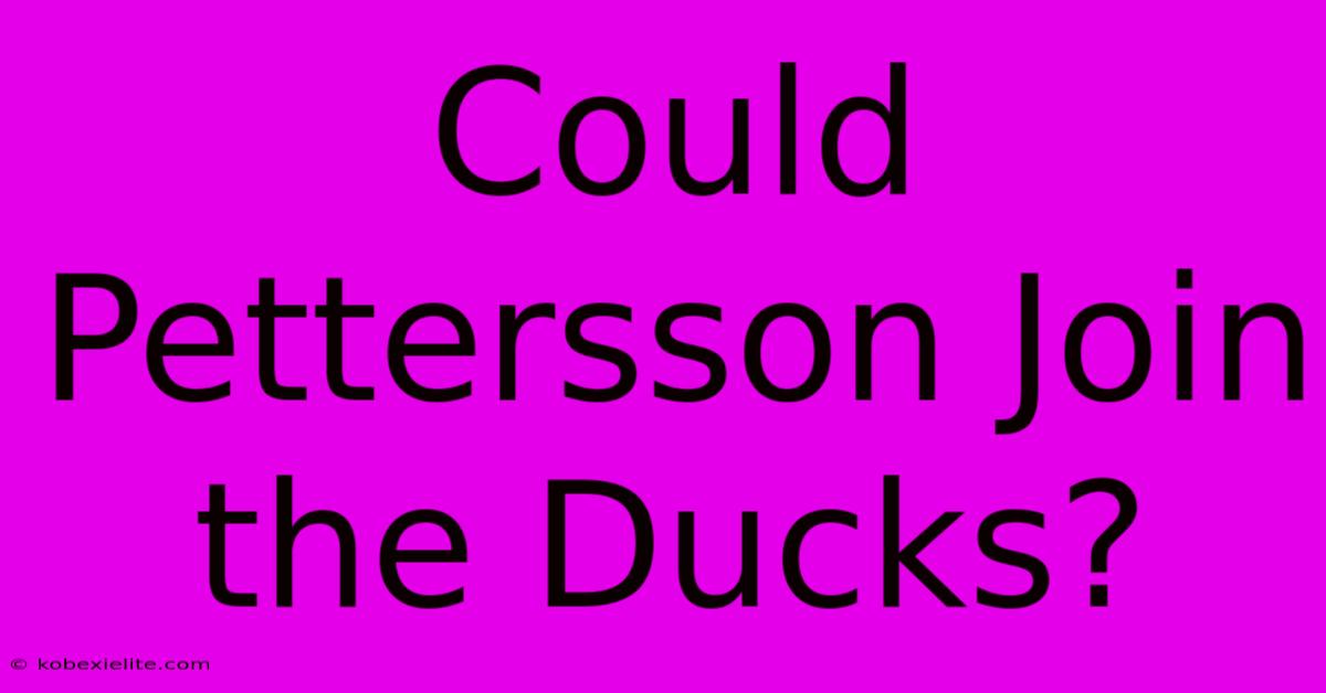 Could Pettersson Join The Ducks?