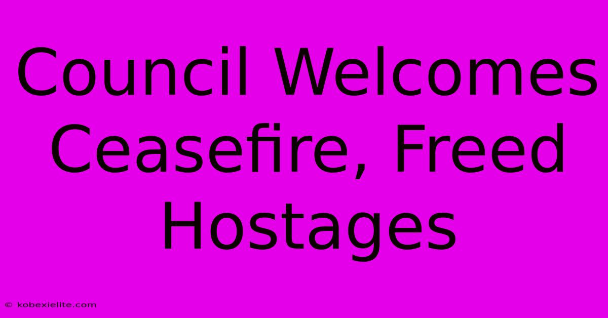 Council Welcomes Ceasefire, Freed Hostages